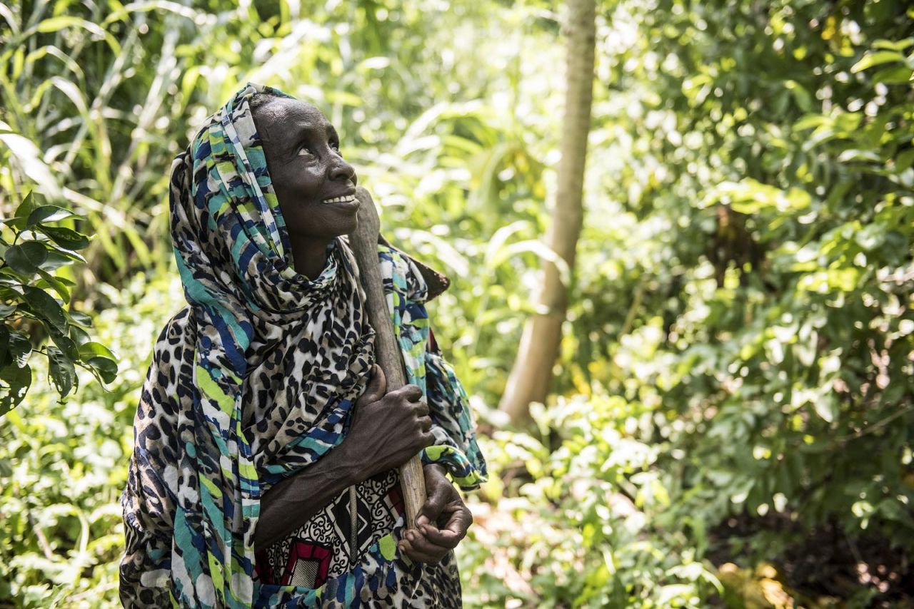 Humanitarian assistance in the North West Region